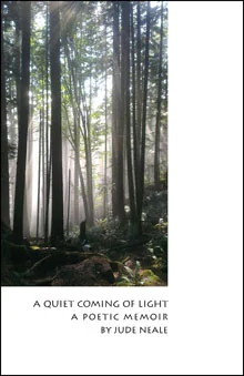A Quiet Coming of Light book cover